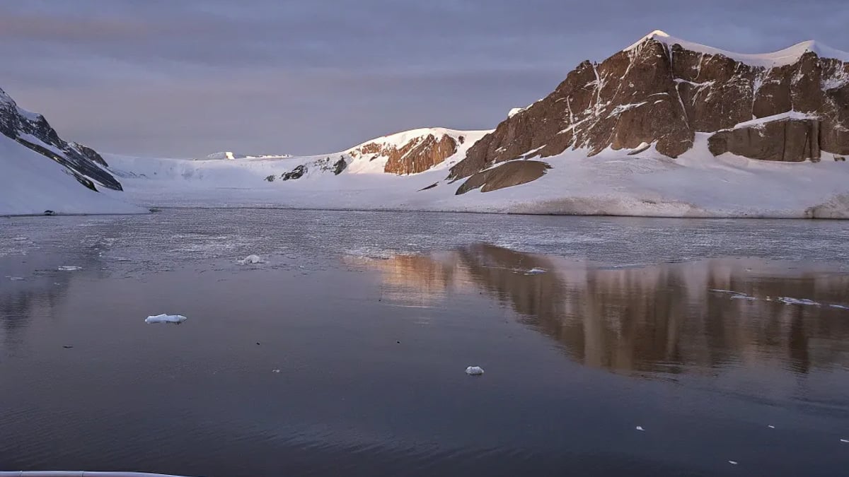 Antarctica Expedition Cruises: What You Need to Know