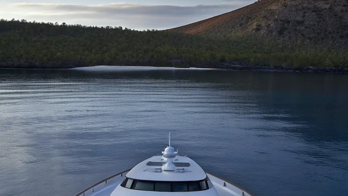 Luxury Cruises Through the Galápagos: What to Expect
